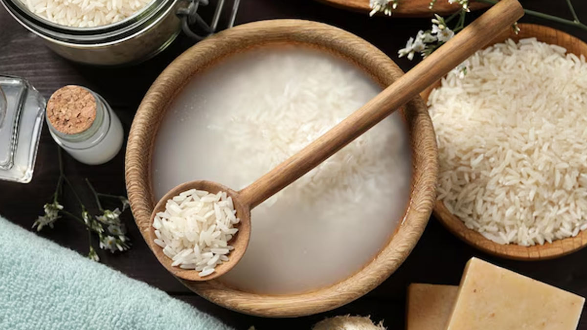 2 - 2026-03-09T175409.558