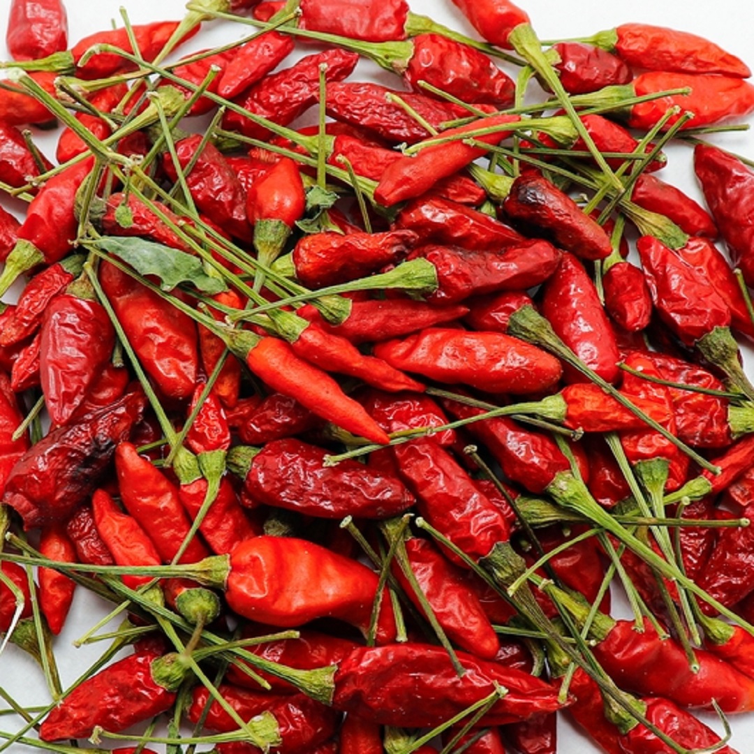 Kanthari Chilli