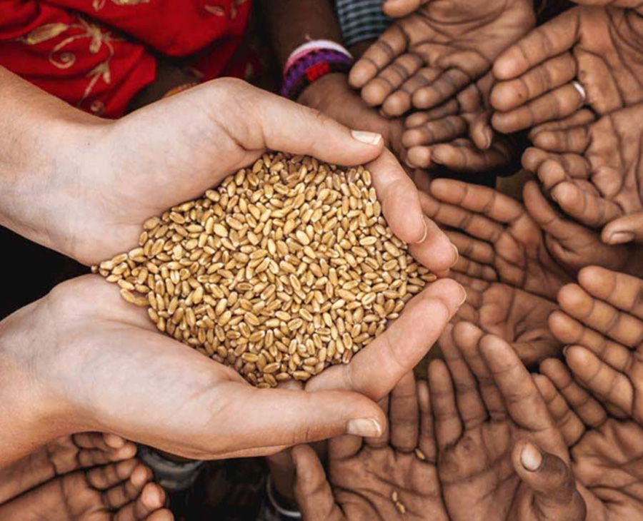 3 - 2025-11-04T110842.441