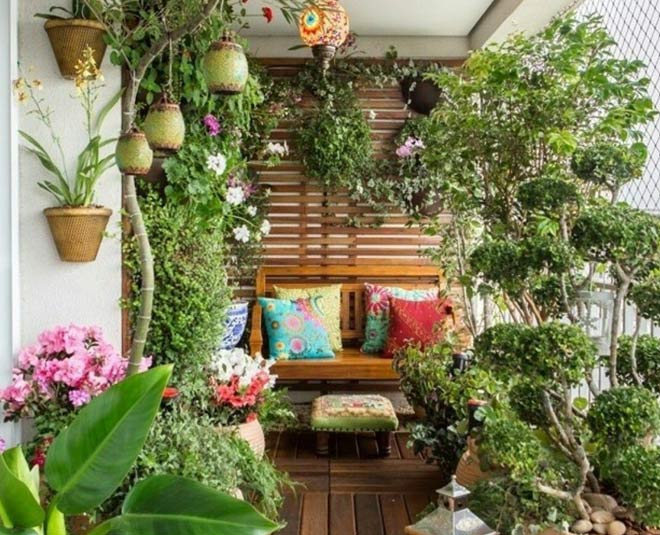 Gardening Hacks For Plants