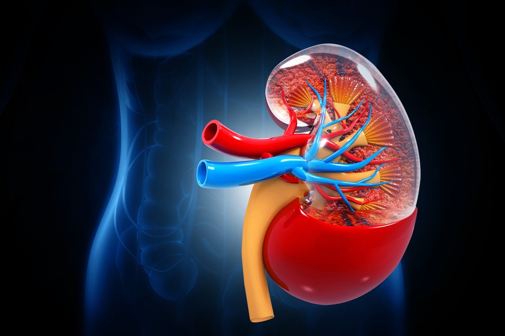 kidney disease