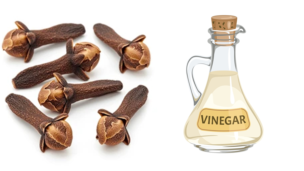 vinegar and clove to get rid of rats