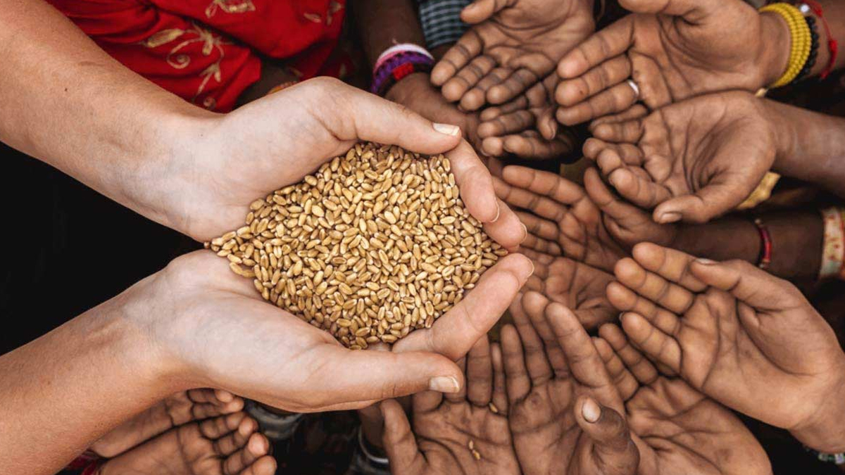 what to donate on papmochini ekadashi