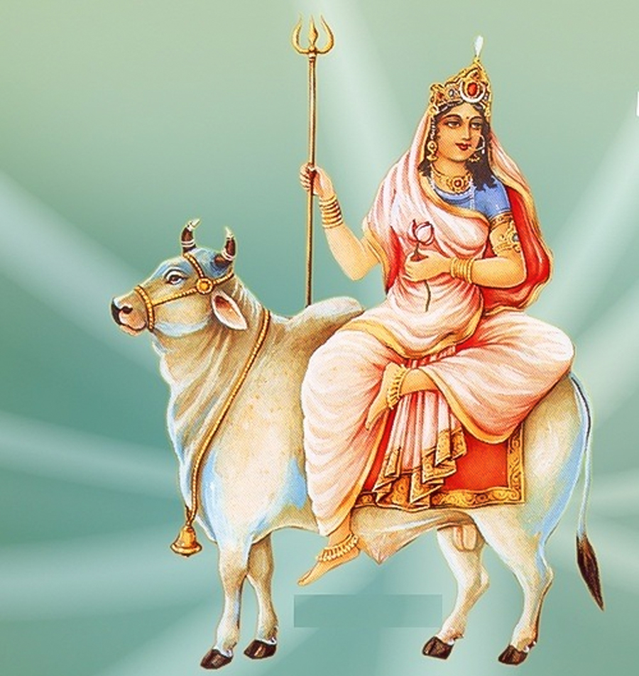 1 - 2026-03-12T120550.254