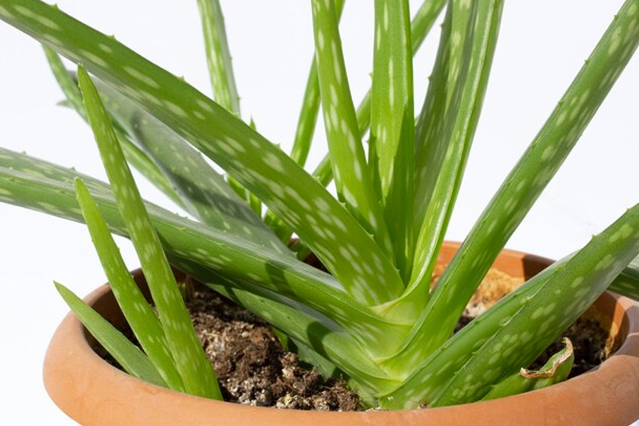 1 - 2026-03-12T194428.036