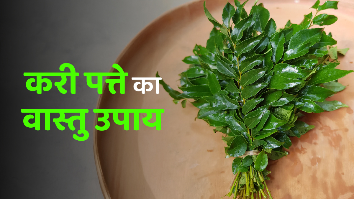 Vastu Tips: करी पत्ते से जुड़े वास्तु उपाय बदल सकते हैं आपकी किस्मत, जानें तरीका
