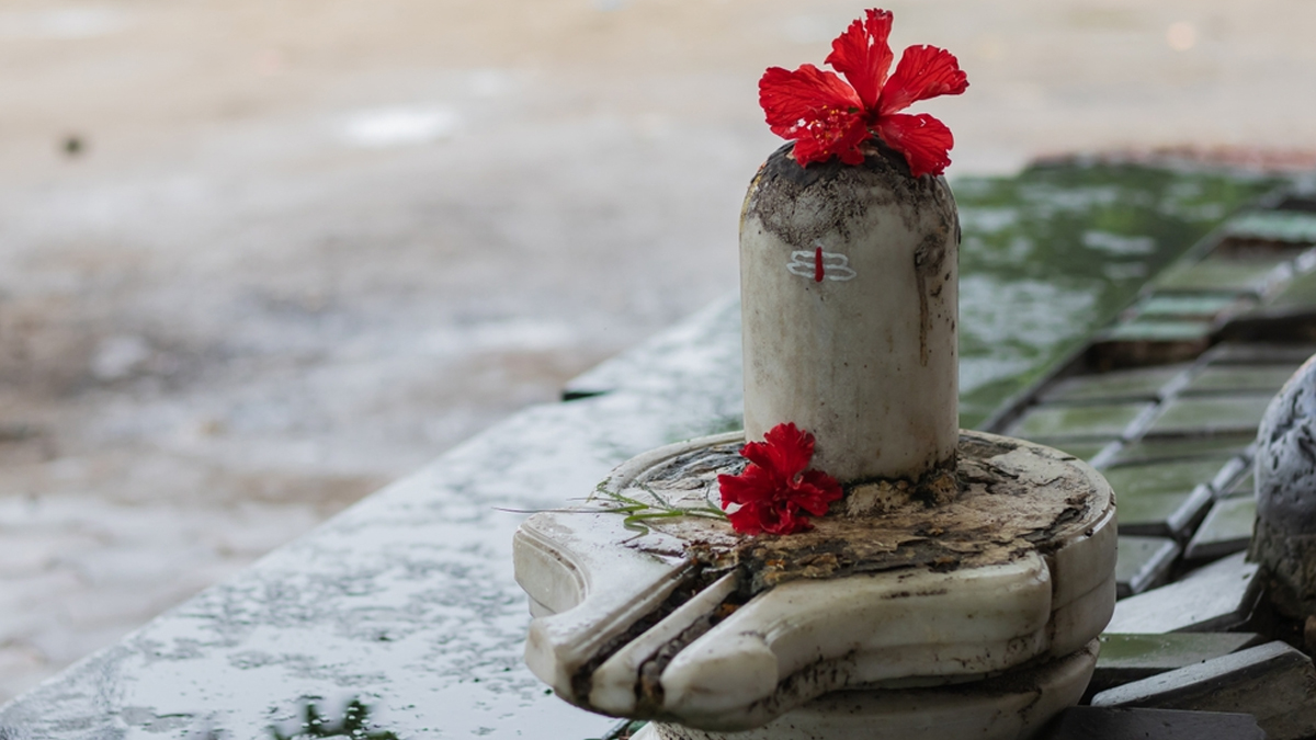 1 - 2026-03-13T135920.128