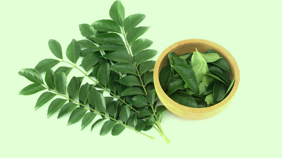 2 - 2026-03-13T135910.513