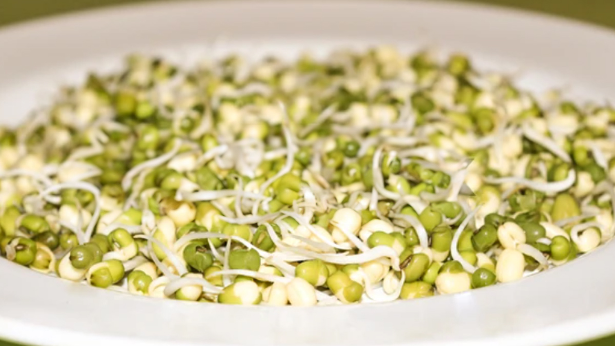 what happens if I eat sprouts daily