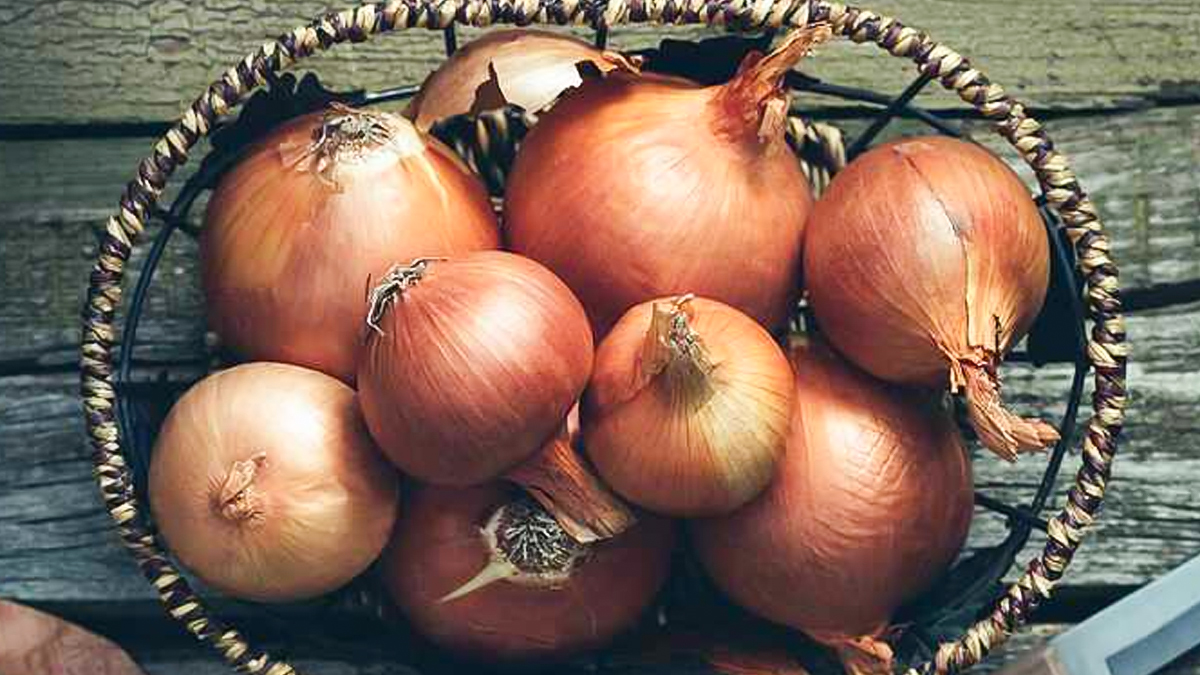 Onion Storage Hacks: 90 दिन तक खराब नहीं होंगे प्याज, बस स्टोर करते समय करें ये छोटा सा काम