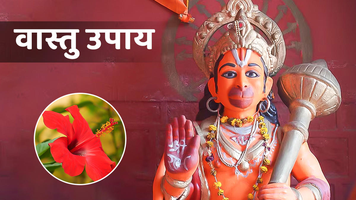 Vastu Upay: हनुमान जी को प्रसन्न करने के लिए मंगलवार को चढ़ाएं ये खास चीज, वास्तु दोष होगा दूर