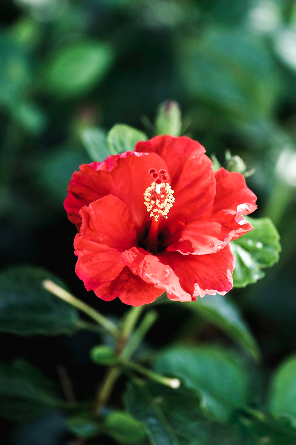 2 - 2026-03-16T123439.373