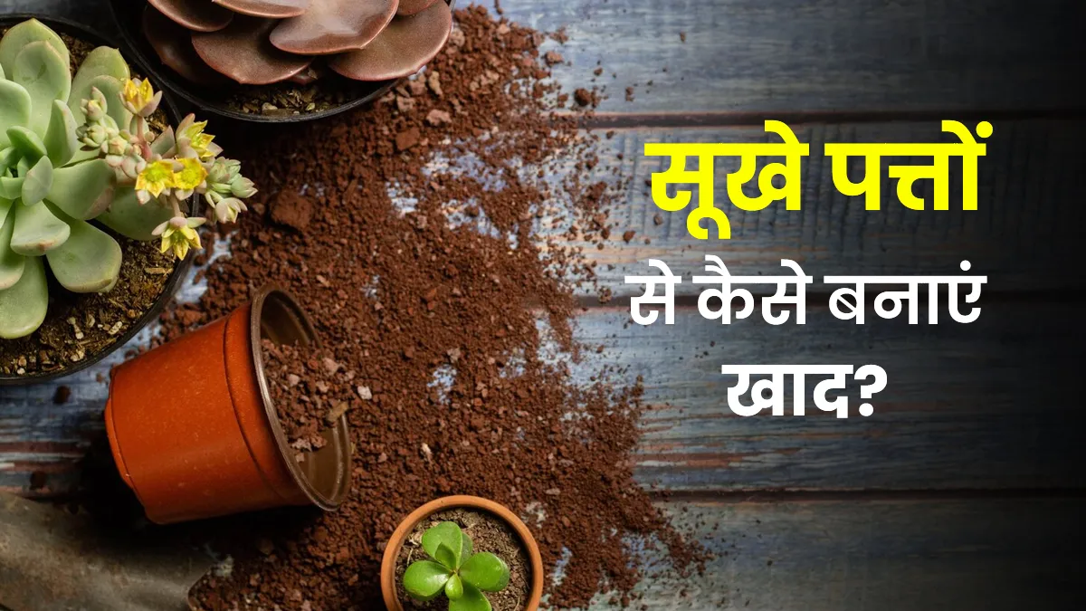 garden soil moist in summer