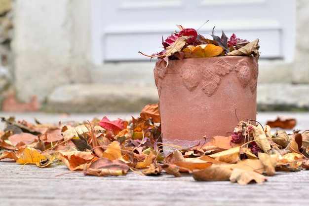 1 - 2026-03-17T154243.352