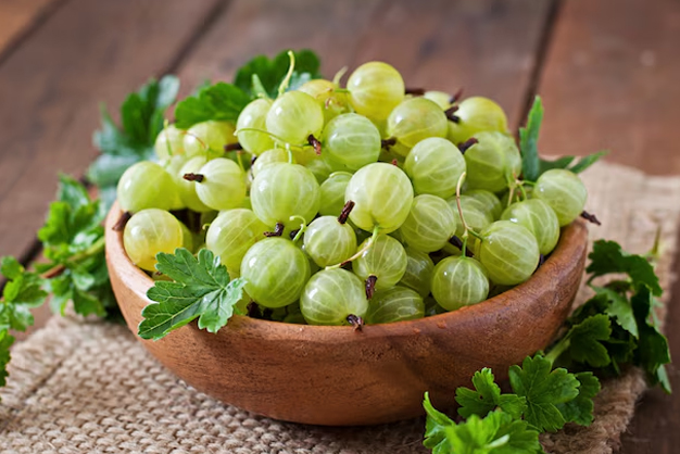 1 - 2026-03-17T155118.984