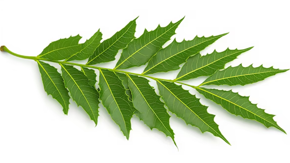 1 - 2026-03-17T164218.723