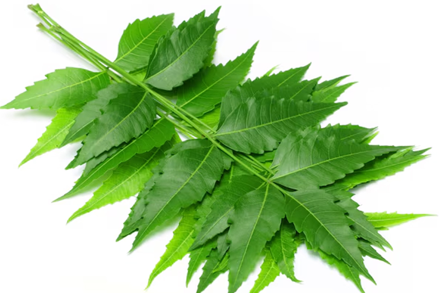 2 - 2026-03-17T164220.808