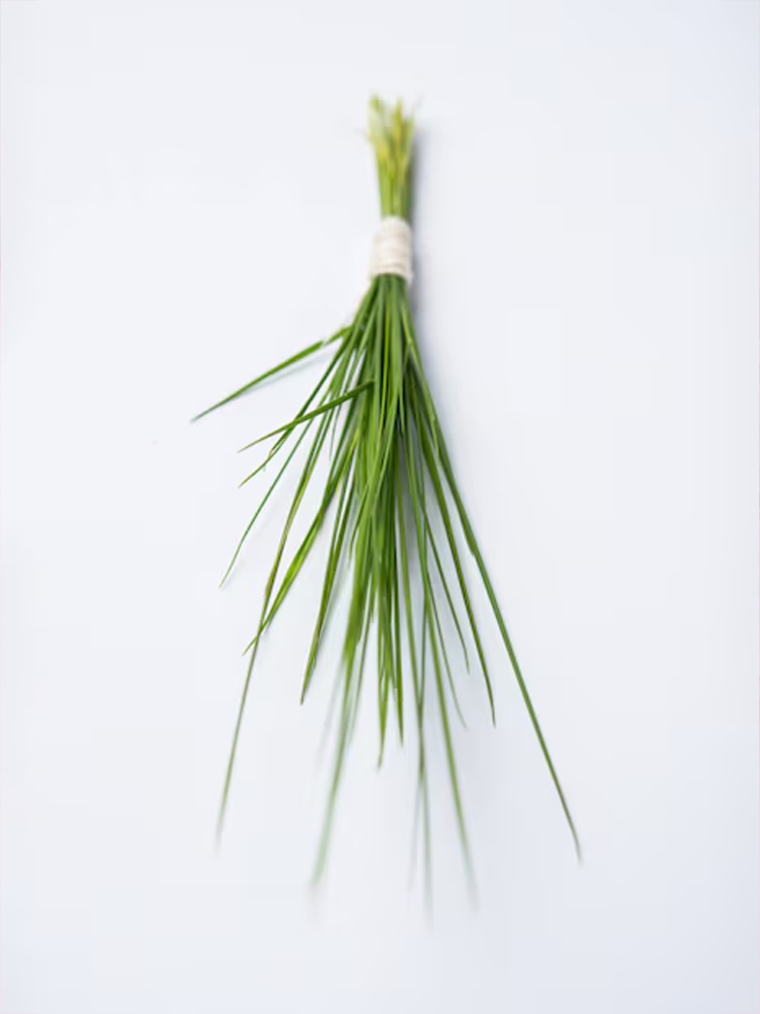 2 - 2026-03-17T164256.844