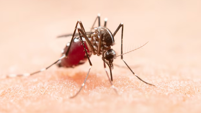 1 - 2026-03-18T162426.726