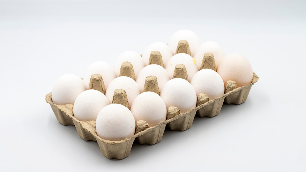 how-to-store-eggs-for-long-time-in-winter