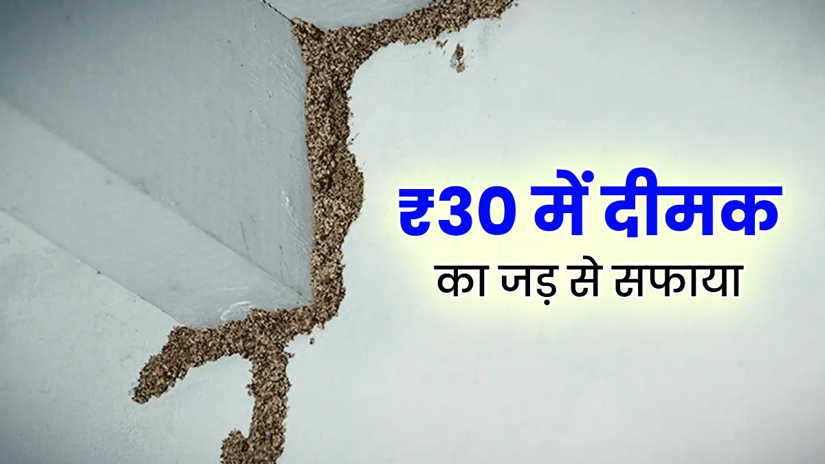 Termite Removal Hacks: घर के हर कोने में छिड़कें इन 3 चीजों का घोल, दूर-दूर तक नजर नहीं आएंगे दीमक; खर्च होंगे महज 30 रुपये