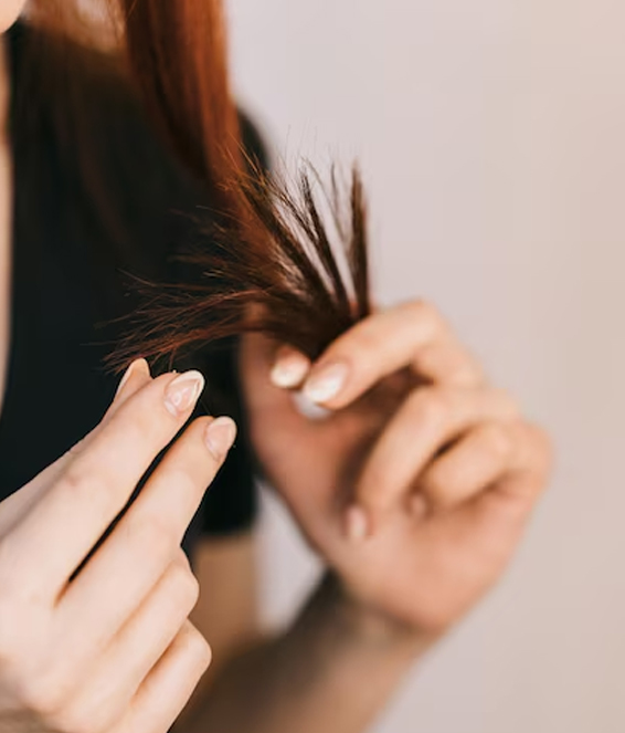 1 - 2026-03-20T211027.126