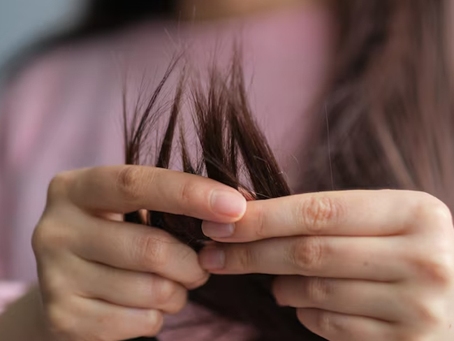 2 - 2026-03-20T211024.760