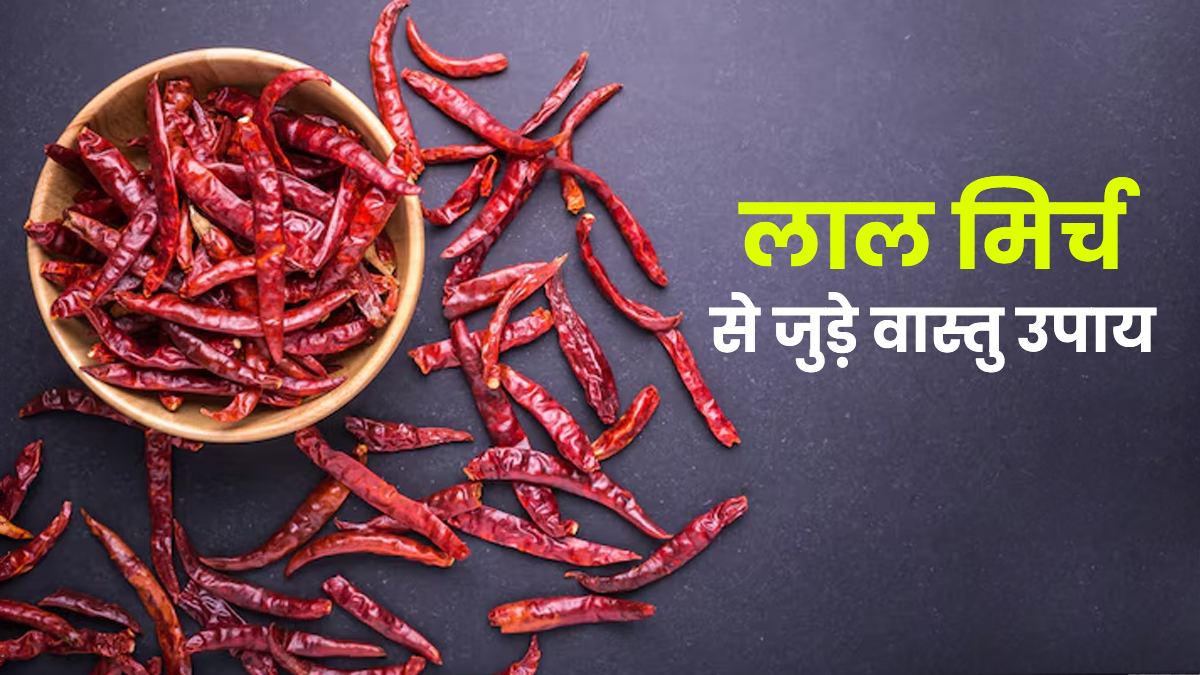 Vastu Upay: व्यापार में हो रहा है घाटा, लाल मिर्च के ये उपाय बदल सकते हैं आपकी किस्मत