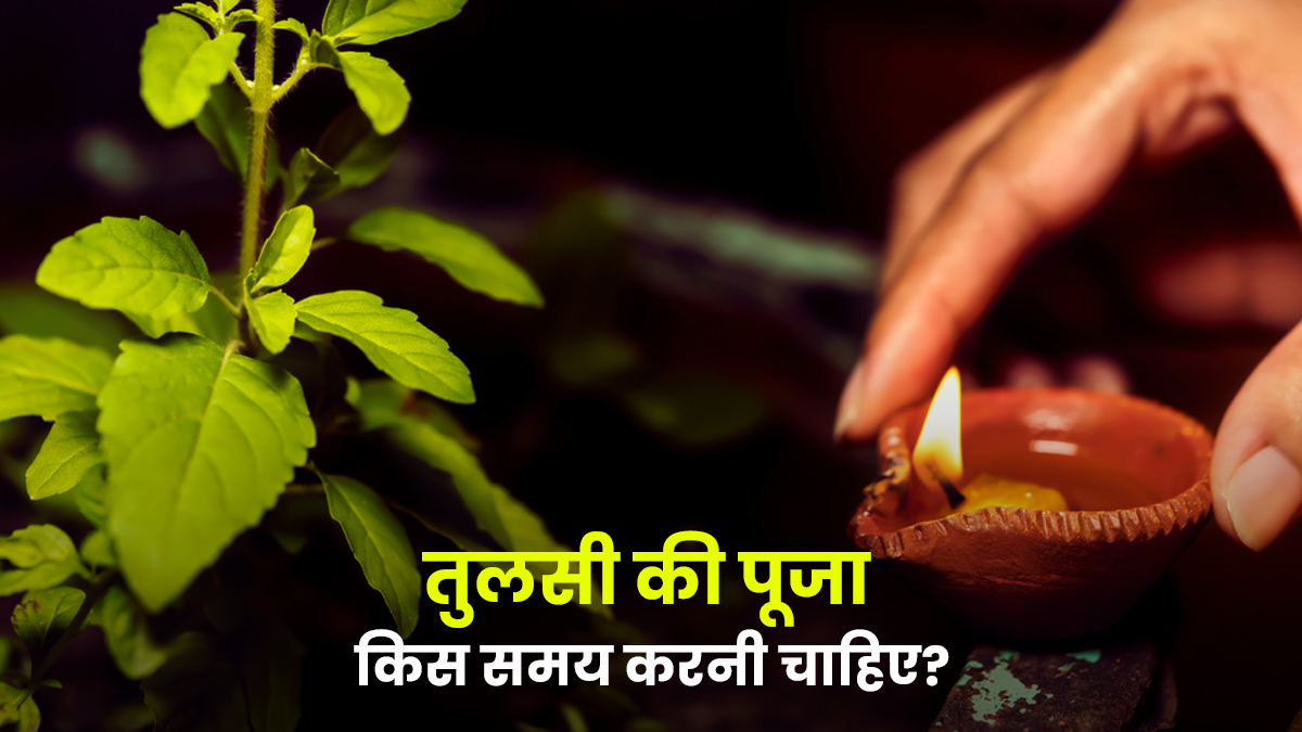 तुलसी की पूजा किस समय करनी चाहिए और दीपक जलाने के लिए कौन सी घड़ी मानी जाती है शुभ? पंडित जी से जानें सही उत्तर