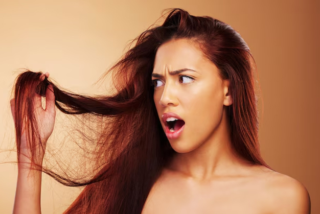 1 - 2026-03-24T164005.663