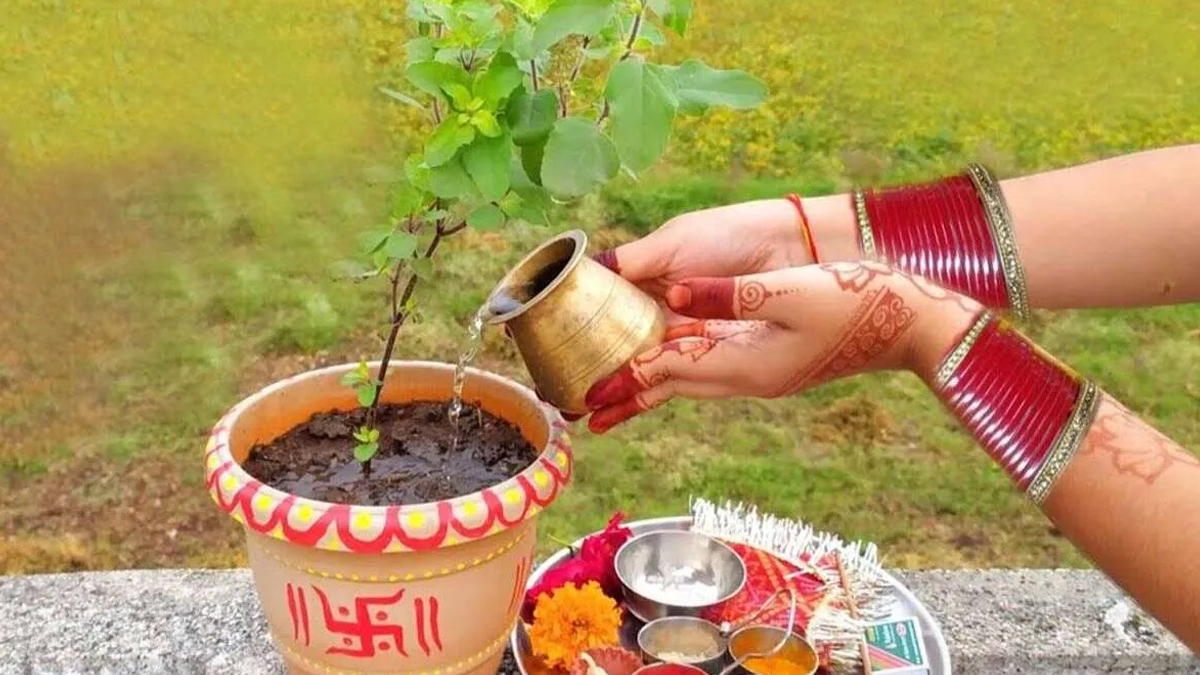 tulsi ki puja ka sahi samay