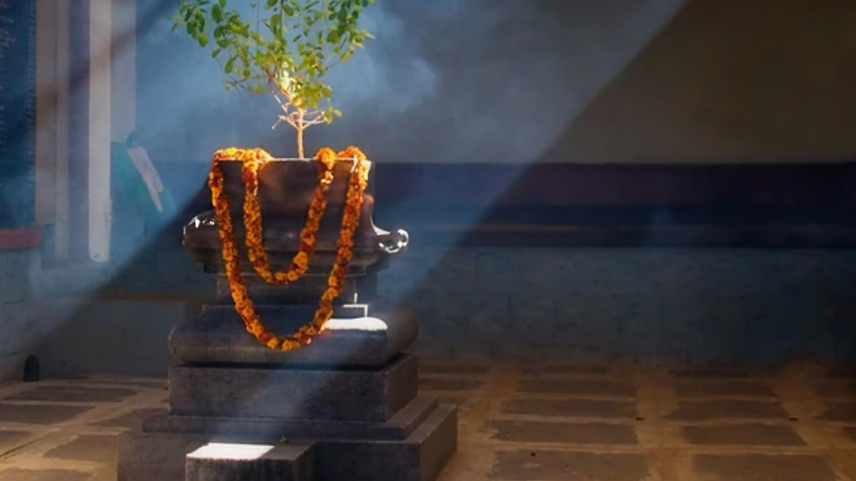 tulsi puja best time