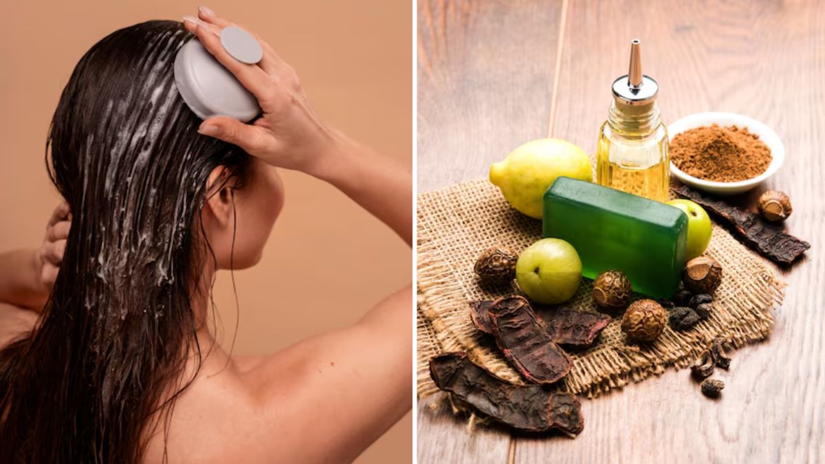 Hair Care Tips: शैंपू की जगह इस्तेमाल करें ये नेचुरल इंग्रीडिएंट्स, बाल बनेंगे घने, काले और मजबूत