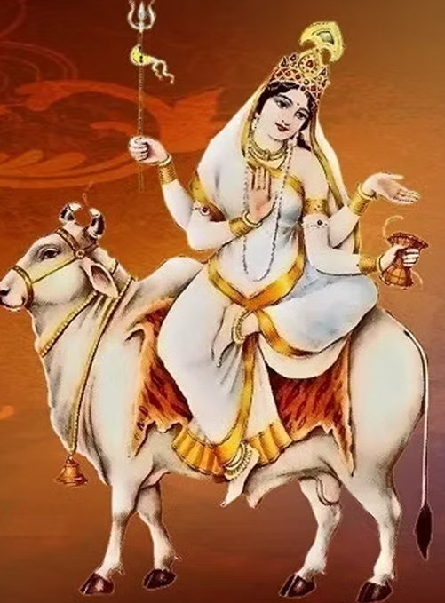 1 - 2026-03-25T130309.222