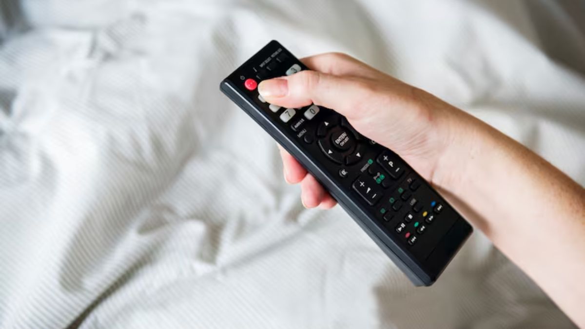 TV Remote interesting facts (1)