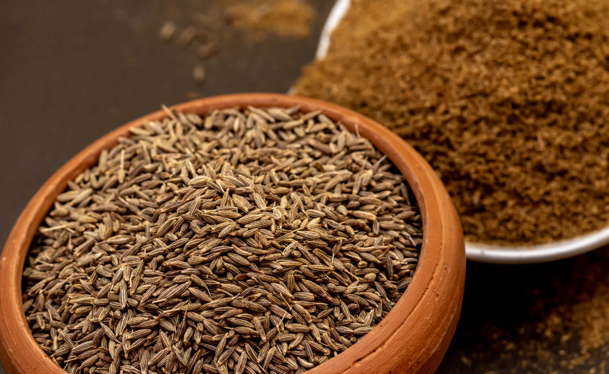 secret ingredients pani puri