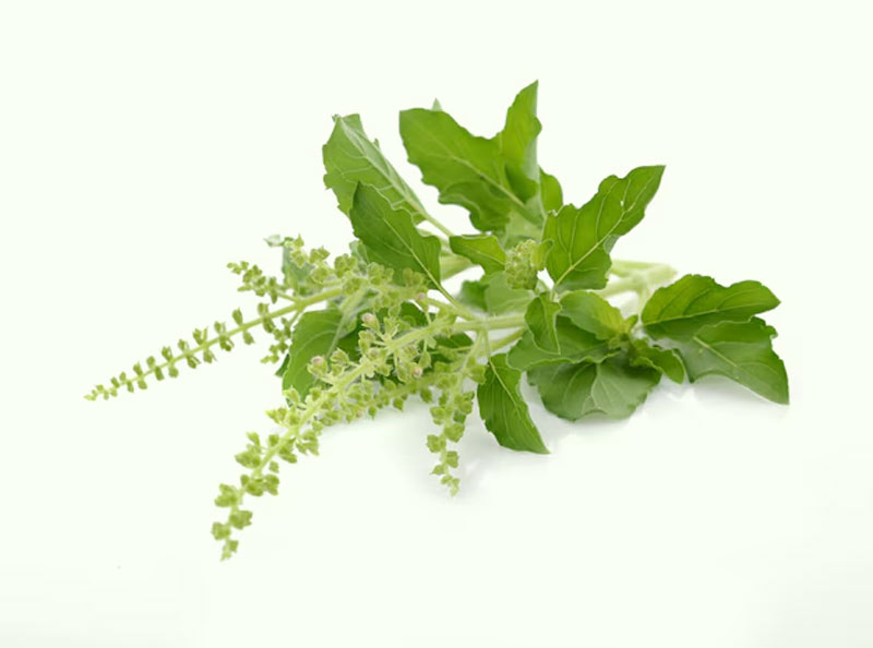 1 - 2026-03-26T153740.661