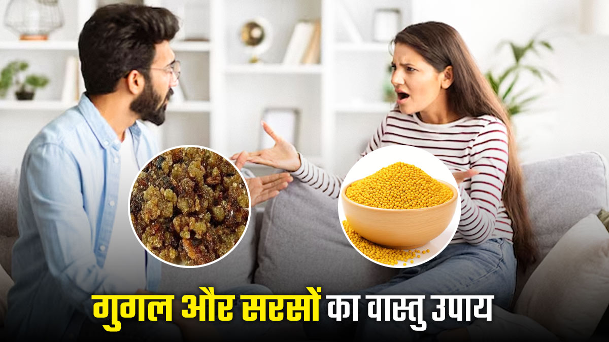 Vastu Upay: वास्तु दोष के कारण घर में बढ़ रहे हैं झगड़े? गुगल सरसों का उपाय घर में लाएंगा खुशहाली