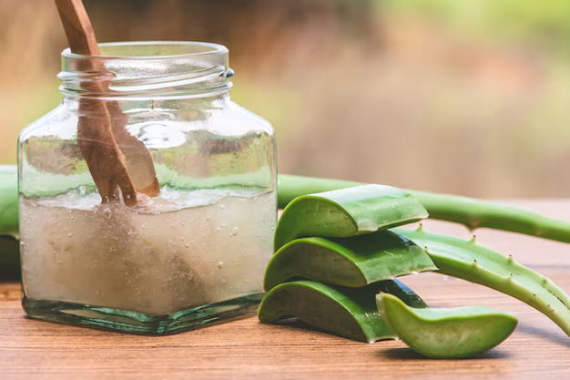 2 - 2026-03-27T015707.189