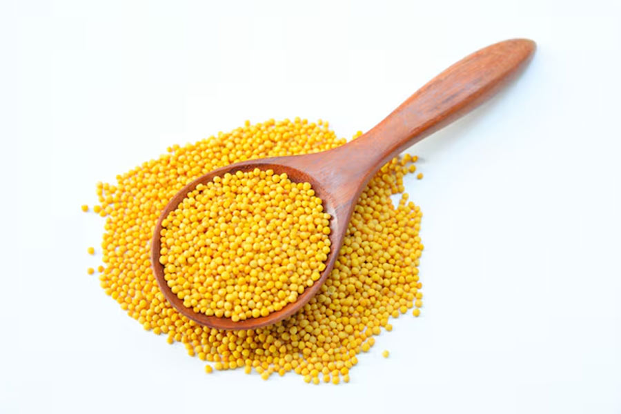 2 - 2026-03-27T134527.504