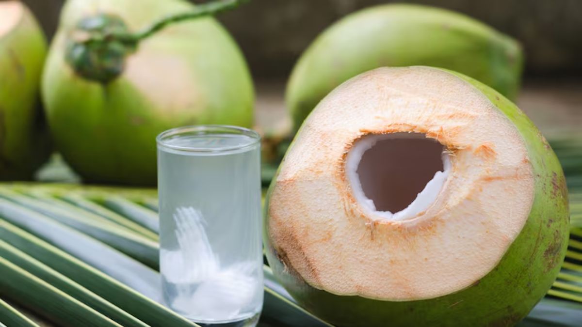 Coconut Buying Tips: नारियल पानी वाला है या मलाई वाला? दुकानदार के बताने से पहले खुद ऐसे करें पहचान, कभी नहीं खाएंगी धोखा
