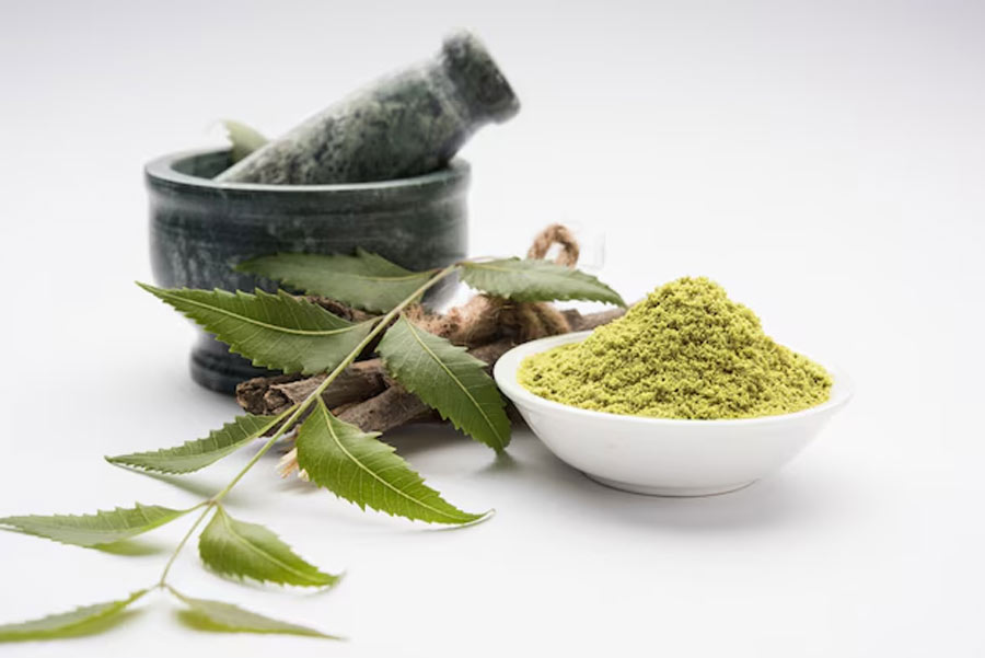 neem for dandruff