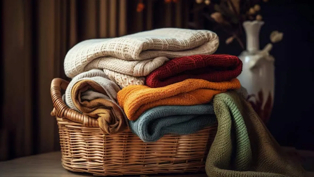 shoe box organizers for drawers