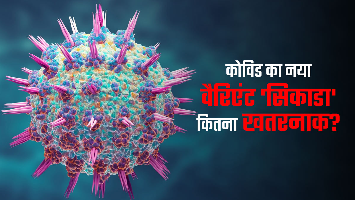 कोविड के नए वैरिएंट 'सिकाडा' से डरने की कितनी जरूरत? घबराएं नहीं, एक्सपर्ट के बताए लक्षणों को पहचानें और बचाव के लिए करें ये उपाय