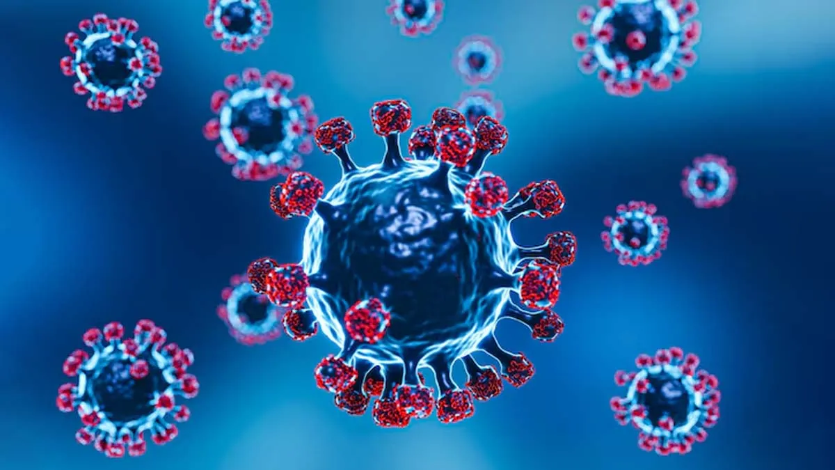 covid new variant cicada how much dangerous it is precautions and symptoms