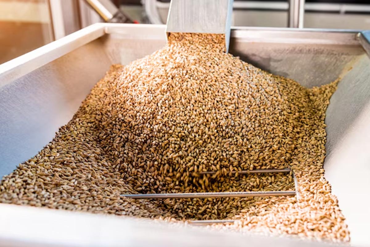 Gehu Storage Tips: गेहूं को 6-12 महीने के लिए ऐसे करें स्टोर, नहीं लगेंगे एक भी घुन