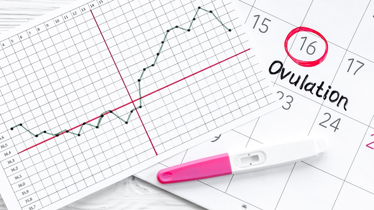 2 अप्रैल को पीरियड्स आए, तो किस दिन इंटिमेट होने से बढ़ सकते हैं प्रेग्नेंसी के चांसेज?
