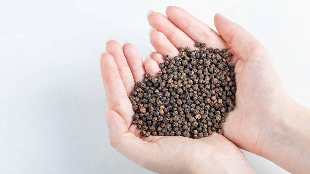 1 - 2026-04-01T125748.510