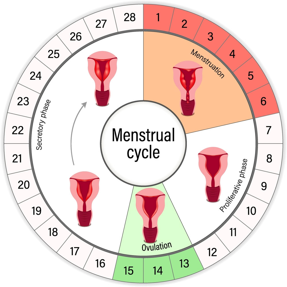 Ovulation days calculator
