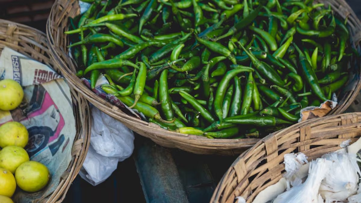 green chilli storage tips (1)